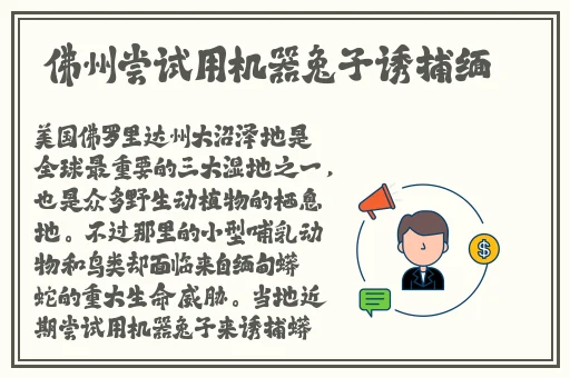 什么是XXXXXLmedjyf